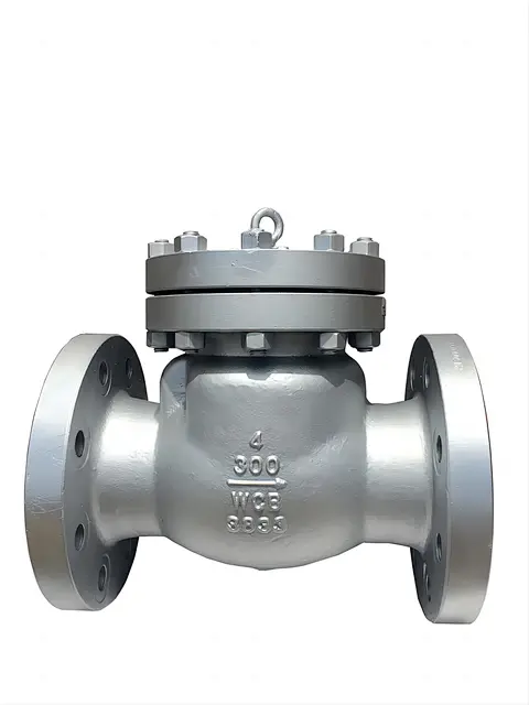 swing type check valve